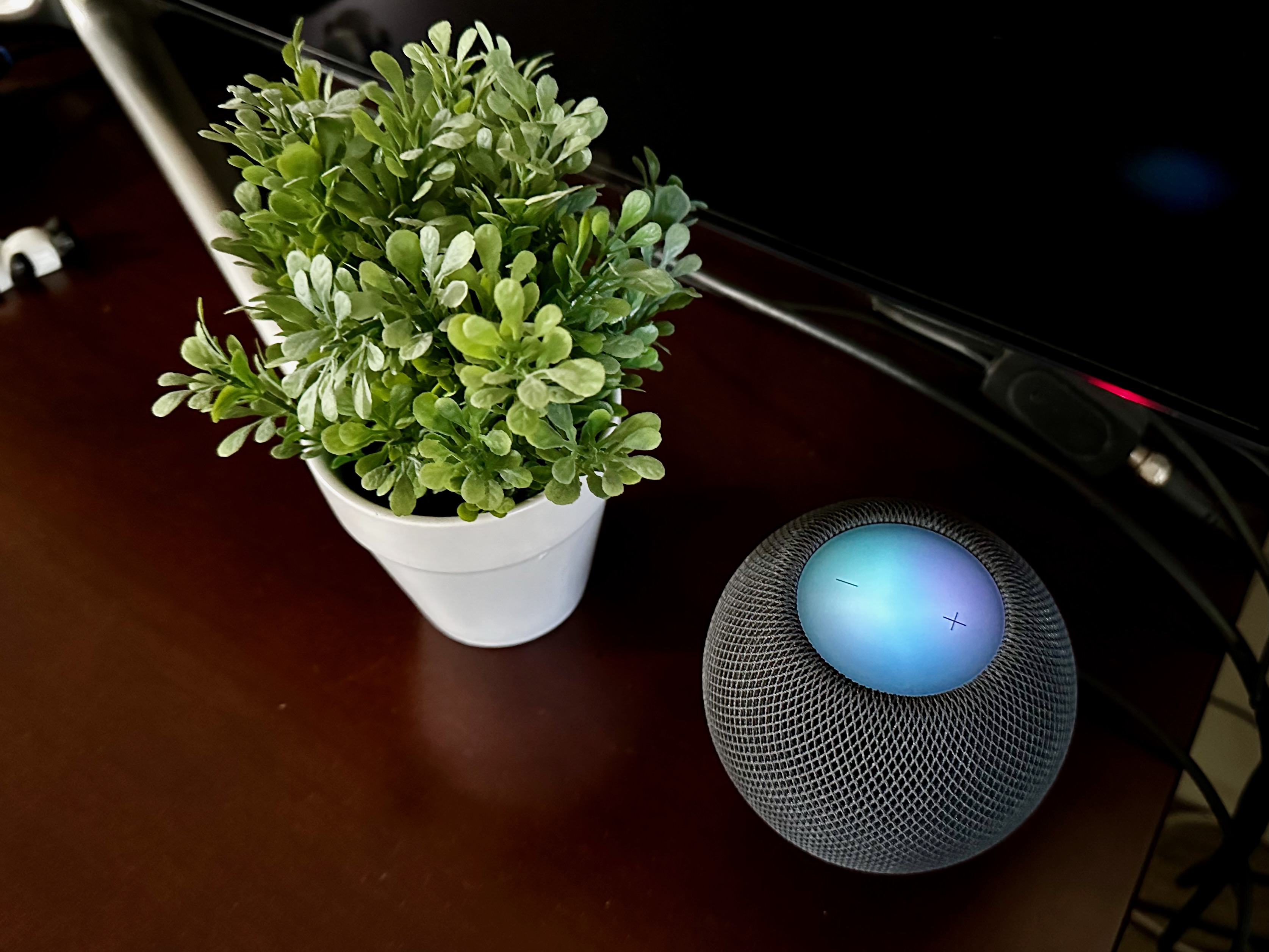 HomePod Mini sitting at on a table next to a plant
